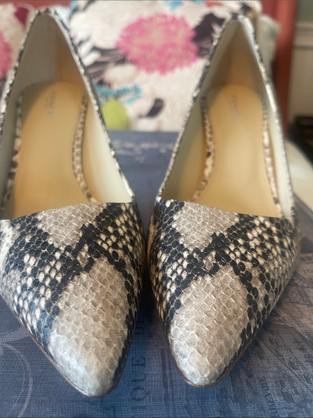 COACH Snake-Print Pointed Toe Pumps in Beige and Black - Picture 4 of 7